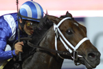 Meydan awards first contracts for their new iconic horacing development in Dubai.