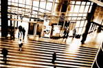 Emirates Green Building Council with rating system for environmentally friendly buildings.