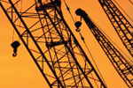 World Cranes Congress to be held in Dubai on 11 and 12 December 2007.