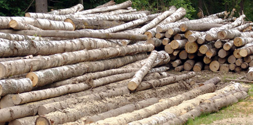 US hardwood products exports to Middle East and Africa increases more than 32%.