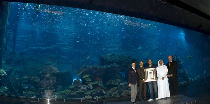 The 'World's Largest Acrylic Panel' at The Dubai Mall Aquarium.