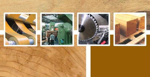 Wood and wood machinery to witness huge demand amidst call for greater sustainability in the Middle East.