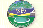 Turnkey landscaping and pool solutions of highest quality from B.P.I.
