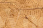 Dubai International Wood & Wood Machinery Show to host over 200 leading international and local players.