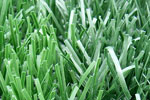 Go green with artificial grass.