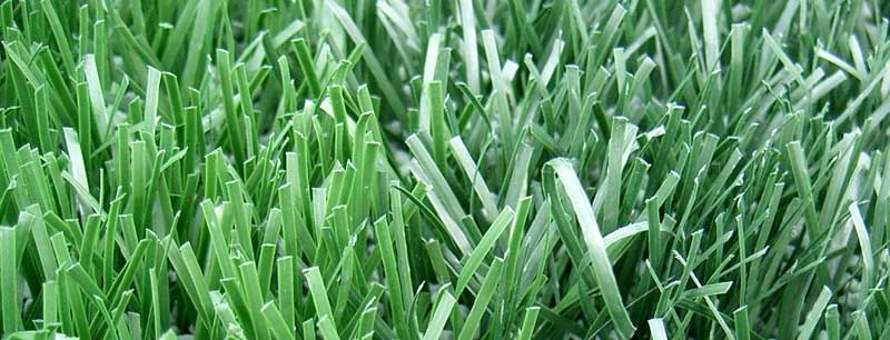 'Go green' with artificial grass.