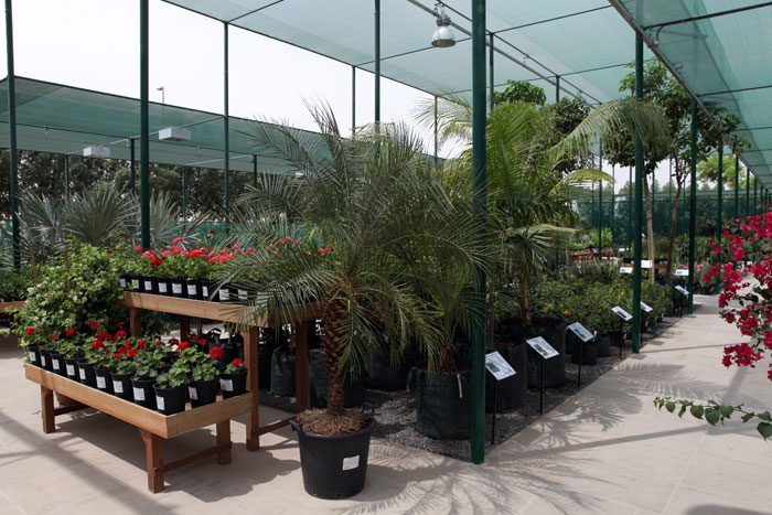 Eco-friendly development launches region’s largest plant nursery.