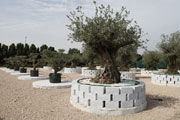 Eco-friendly development launches region’s largest plant nursery.