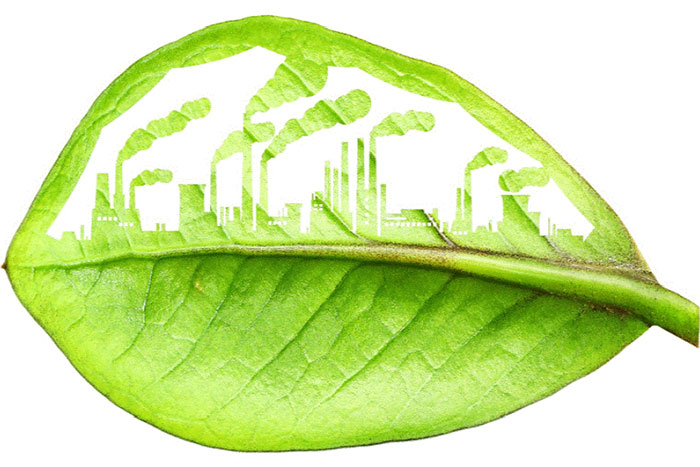 Focus on Sustainability in Construction