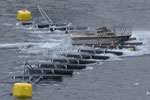 FOXX Floating Port Security Barrier protects sensitive infrastructure from waterside attacks.