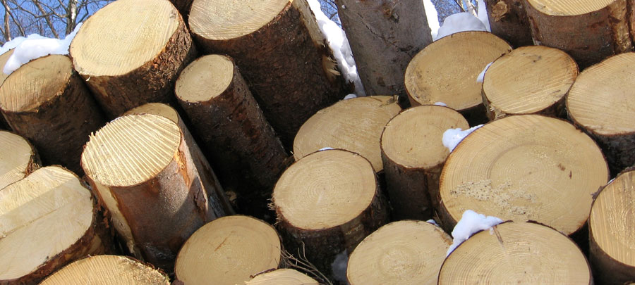 Major Life Cycle Assessment study announced for American Hardwoods.