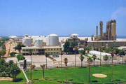 Microhumus presents a technology for soil building in the desert at WFES 2012.