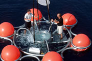 New technology to harvest fresh water from the submarines springs in the sea.