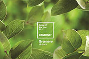 Pantone reveals 15-0343 Greenery as its 2017 Color of the Year