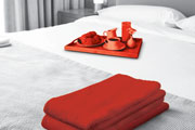 The Hotel Show 2012 brings green initiatives to the forefront.