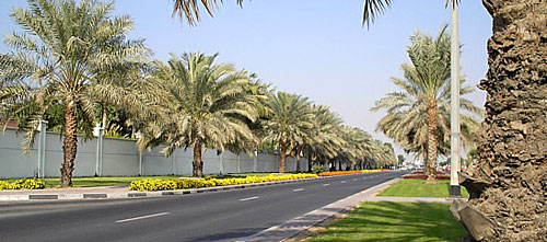 The flourishing garden and landscaping industry in the region attracts international participation.