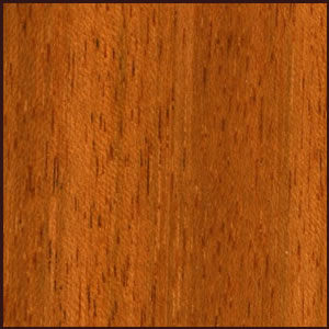 South American Jatoba