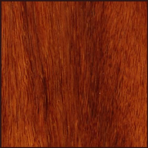 Burma Rosewood