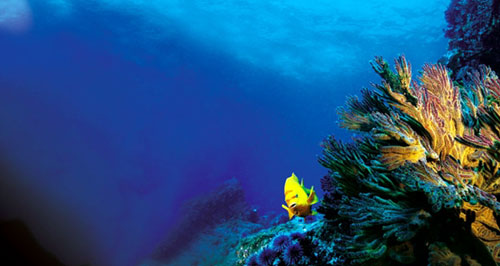Abu Dhabi launches the Desert Islands - a US$3 billion international eco-tourism project.