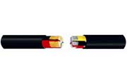 PVC/XLPE Insulated, Multi Core Cables, Unarmored