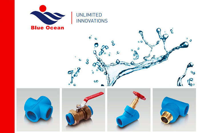 All-new Blue Ocean product catalogues!