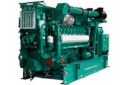 Lean-Burn Gas Generator Sets