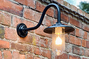 Davey Lighting Exterior Bracket Light With Swan Neck