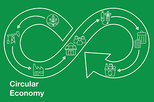 Digital Twins Will Help Build the Circular Economy