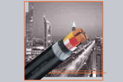 Ducab XLPE Insulated Low Voltage Cables