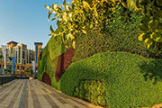 Dubai Properties Unveils Middle East’s Largest Living Green Wall at Dubai Wharf