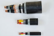 Armoured and Unarmoured Cu/XLPE/PVC Cable