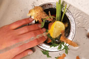 InSinkErator Food Waste Disposers InSinkErator Food Waste Disposers