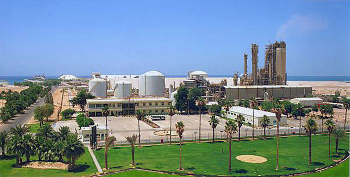 Microhumus presents a technology for soil building in the desert at WFES 2012.