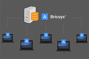 Named User Subscriptions vs. BricsCAD’s Flexible Licensing