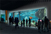 PENETRON ADMIX Helps Launch New Tacoma Aquarium