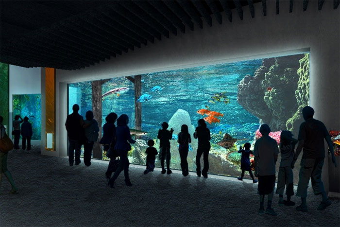PENETRON ADMIX Helps Launch New Tacoma Aquarium