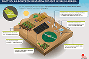 Pilot Solar-Powered Irrigation Project in Saudi Arabia
