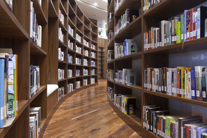 American walnut at Zayed University, Abu Dhabi, United Arab Emirates.