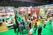 USD 2.4tn worth Expo 2020 Dubai construction projects to drive demand for wood industry